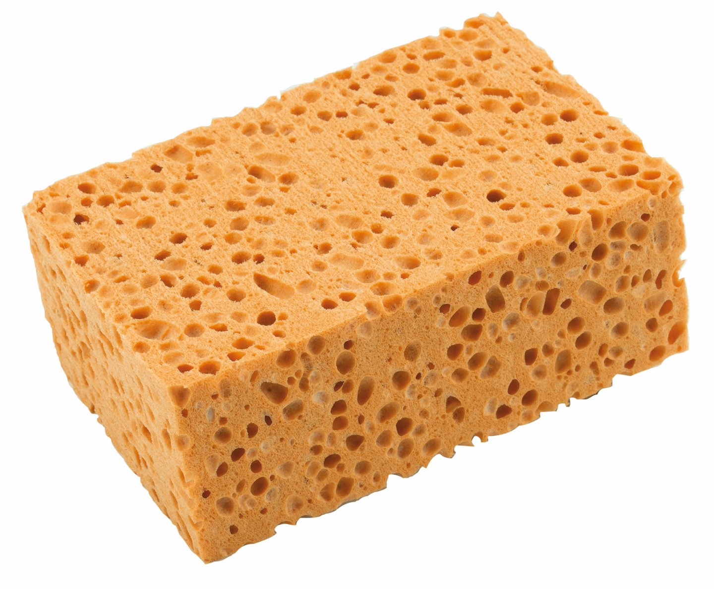 Reinforced vegetable sponge
