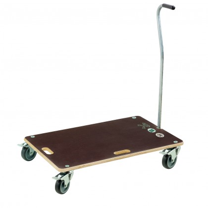 Swift trolley with handle