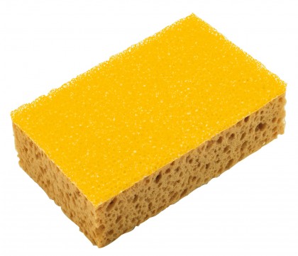 Hydro-scrubbing sponge
