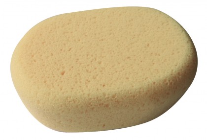 Oval synthetic sponge